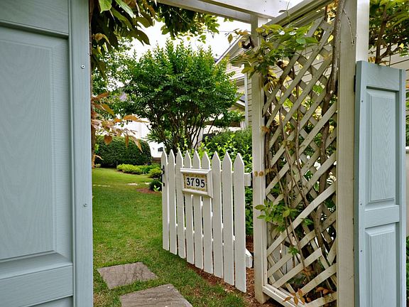 Welcome to our back yard