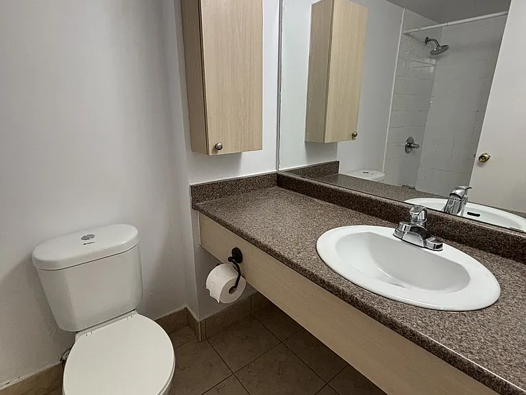 263 Maclaren St #902 — Photo 6