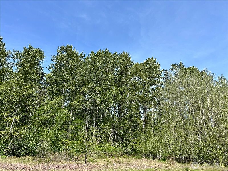 4th image of 50 Acres Lincoln and Shintaffer Road