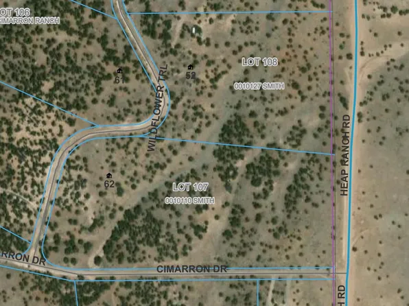 52 & 62 Wildflower Dr, Quemado, NM 87829