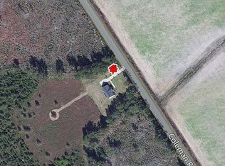 393 Coleman Rd, Greeleyville, SC 29056