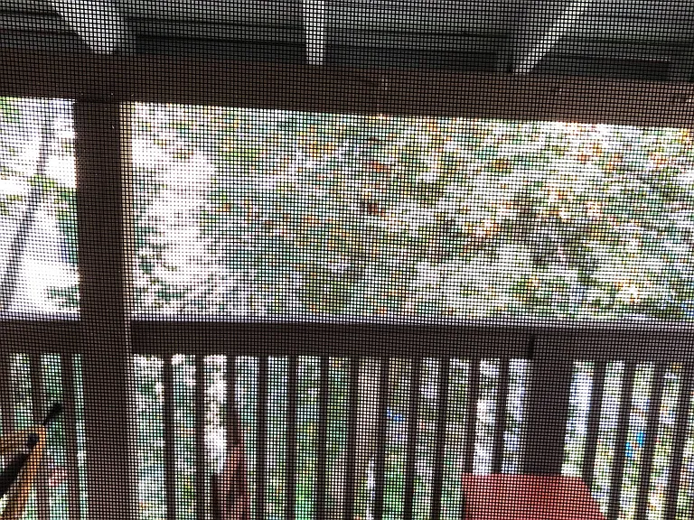 69 Tower St #3 — Photo 9