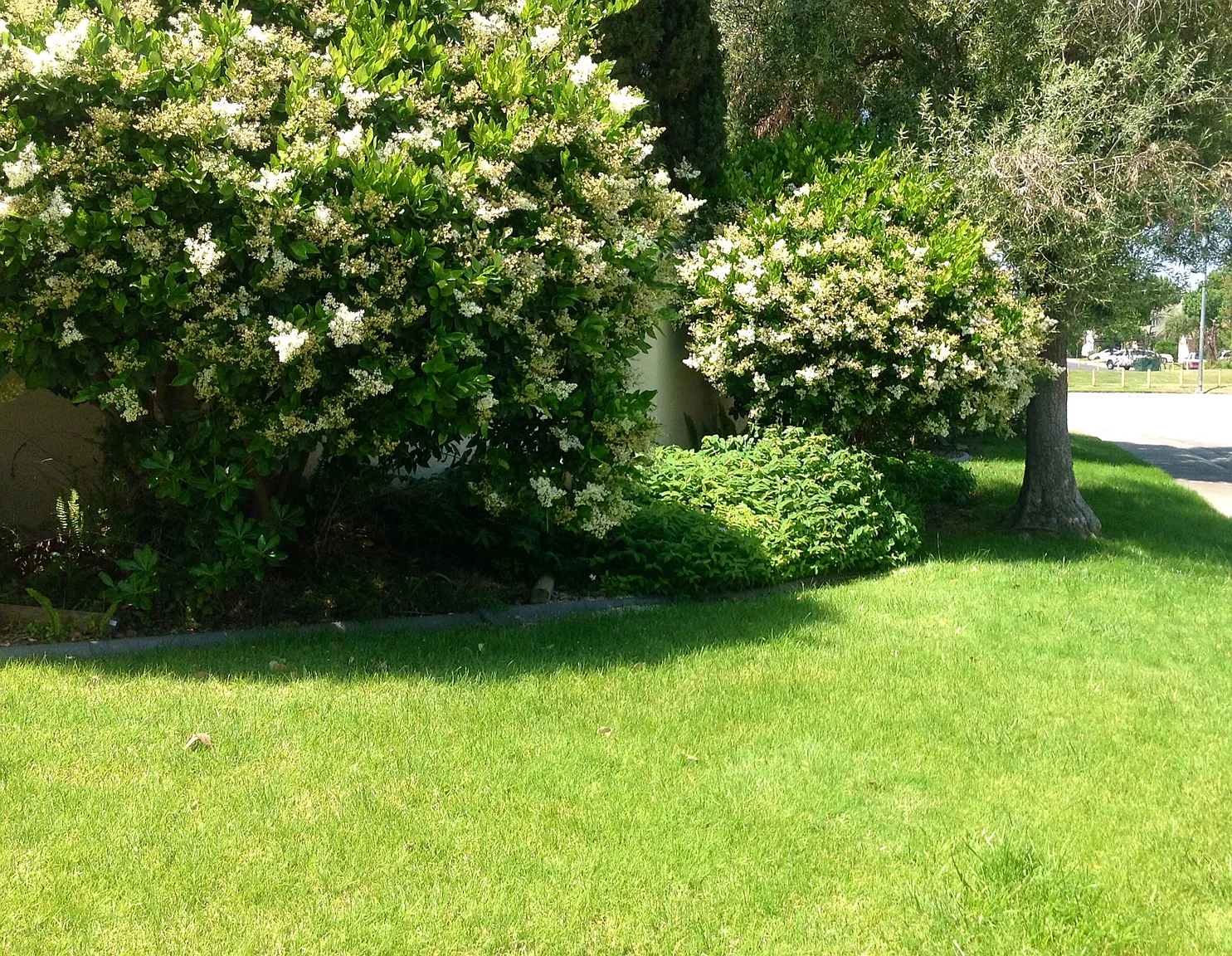 3737 Terneuzen Ave photo 1