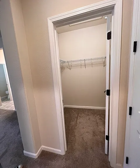 2413 Las Palomas Loop — Photo 11
