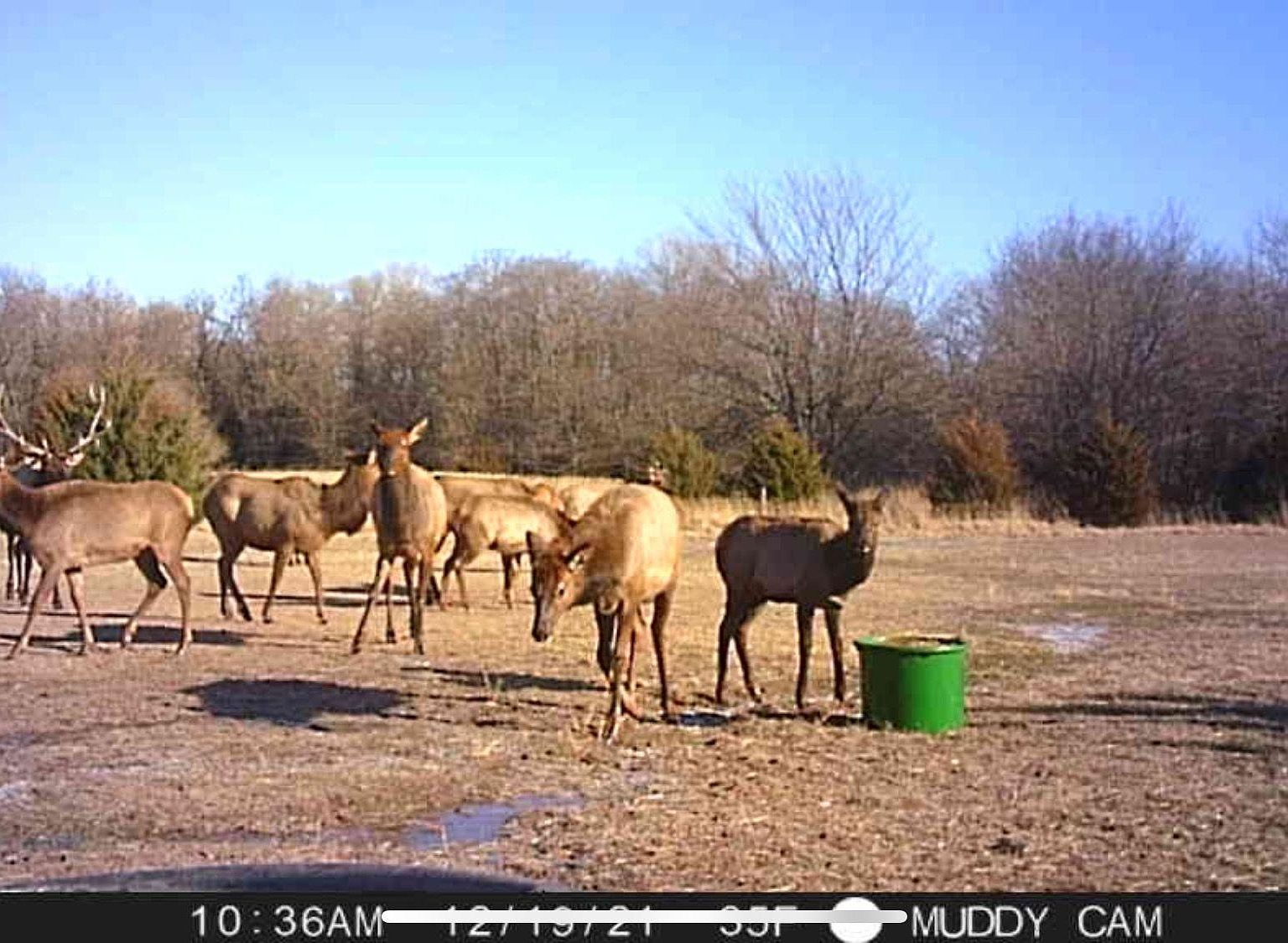 0 S Raymond Rd, Sylvia, KS 67581 MLS 631487 Zillow