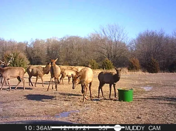 0 S Raymond Rd, Sylvia, KS 67581