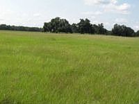 1st image of 2679 E County Road 462