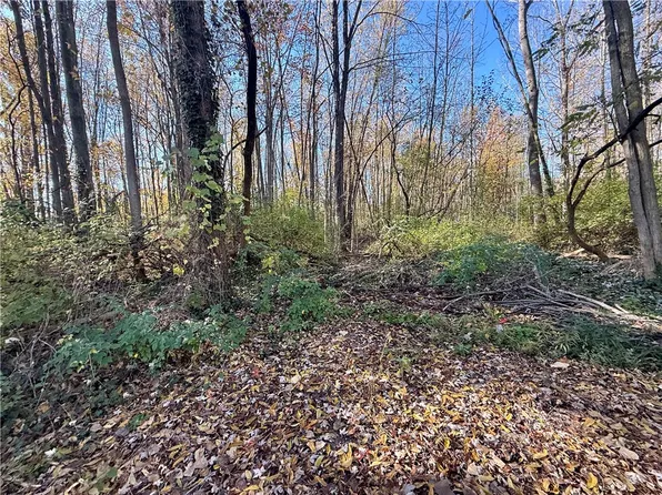 0 Butler Ave, Seneca Falls, NY 13148