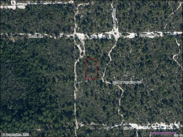 2246 Bird Of Paradise Ave, Sebring, FL 33875