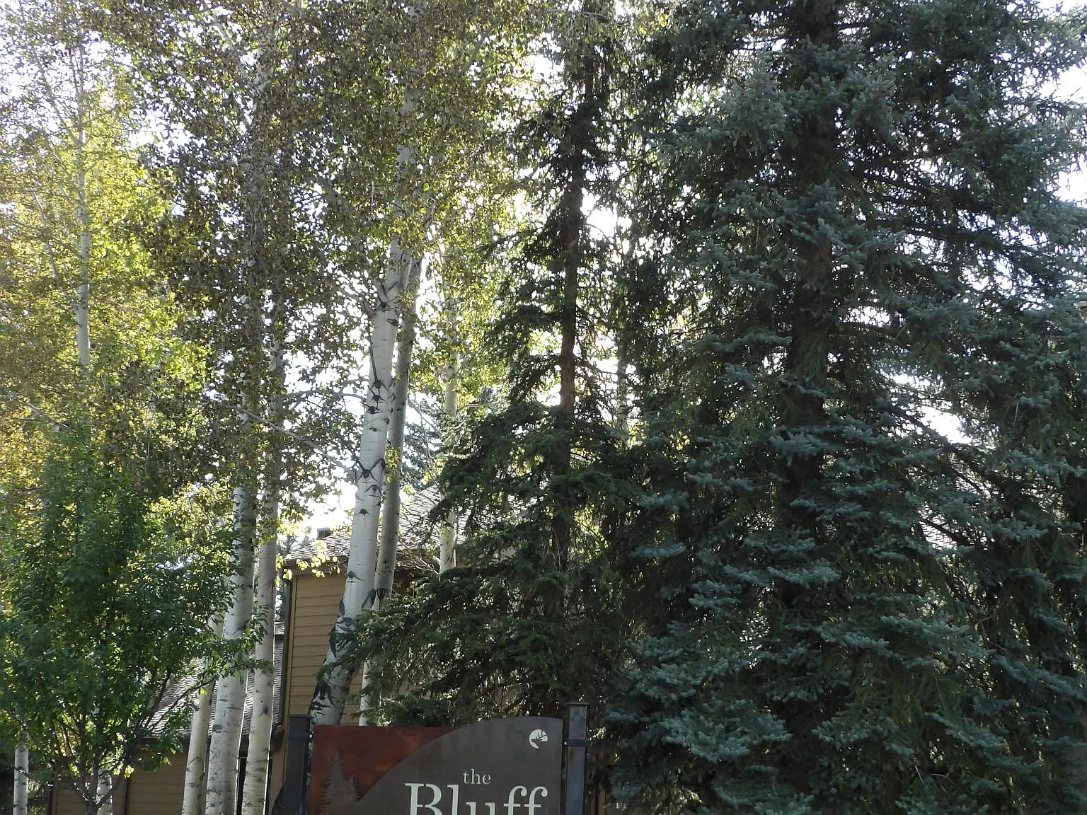 3 bed, 1440 sqft, $8,000 — Photo 2