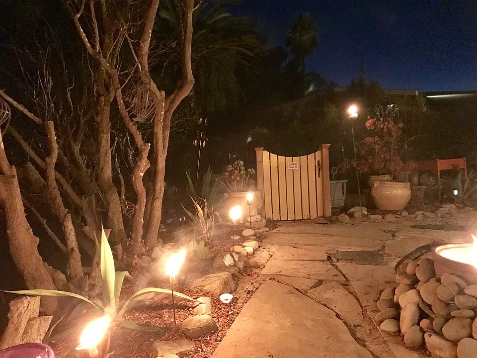 Organic garden & dog pen
