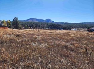 62 Cactus Dr, Pagosa Springs, CO 81147