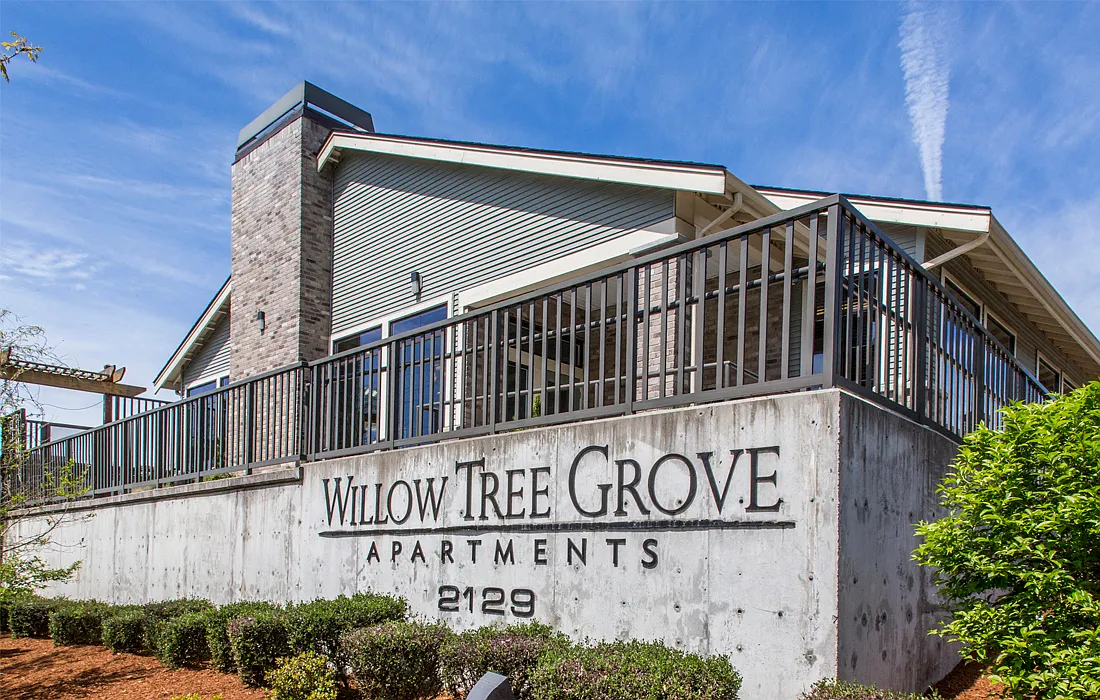 Willow Tree Grove — Photo 1