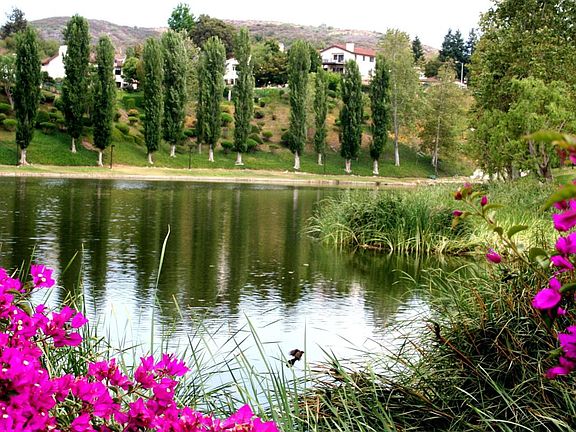 Short walk to Lake/Fishing & Picnics