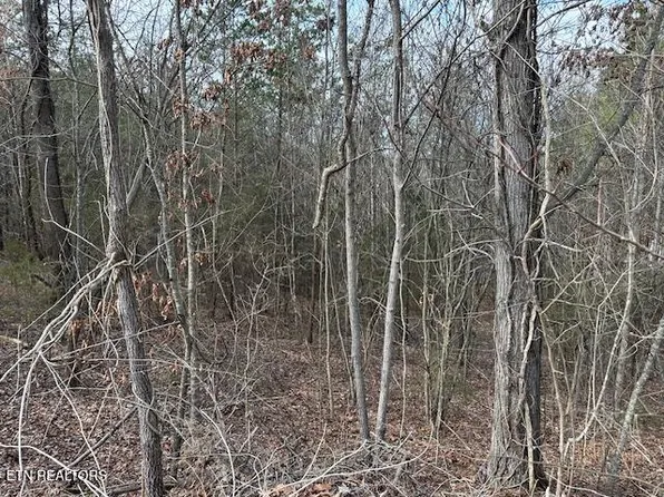 0 West Dr, Parrottsville, TN 37843