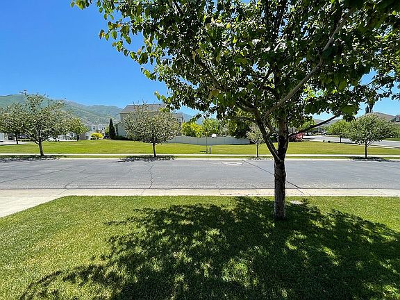 Open green space in front