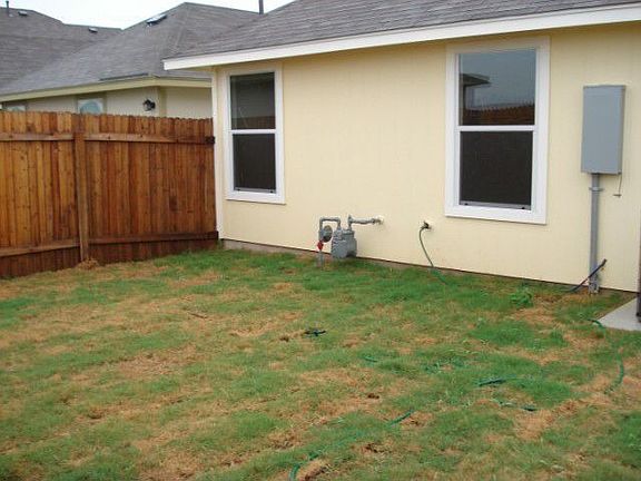 Grass Back Yard