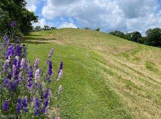 0 Cain Ridge Rd, Clarington, OH 43915