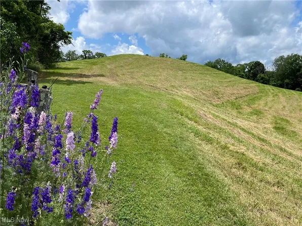 0 Cain Ridge Rd, Clarington, OH 43915