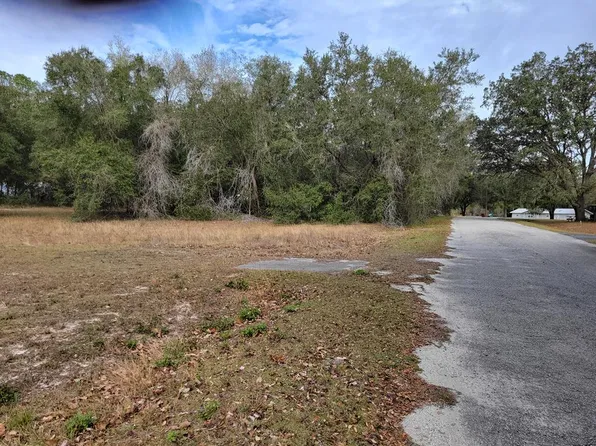 000 SE 161st Ct, Ocklawaha, FL 32179