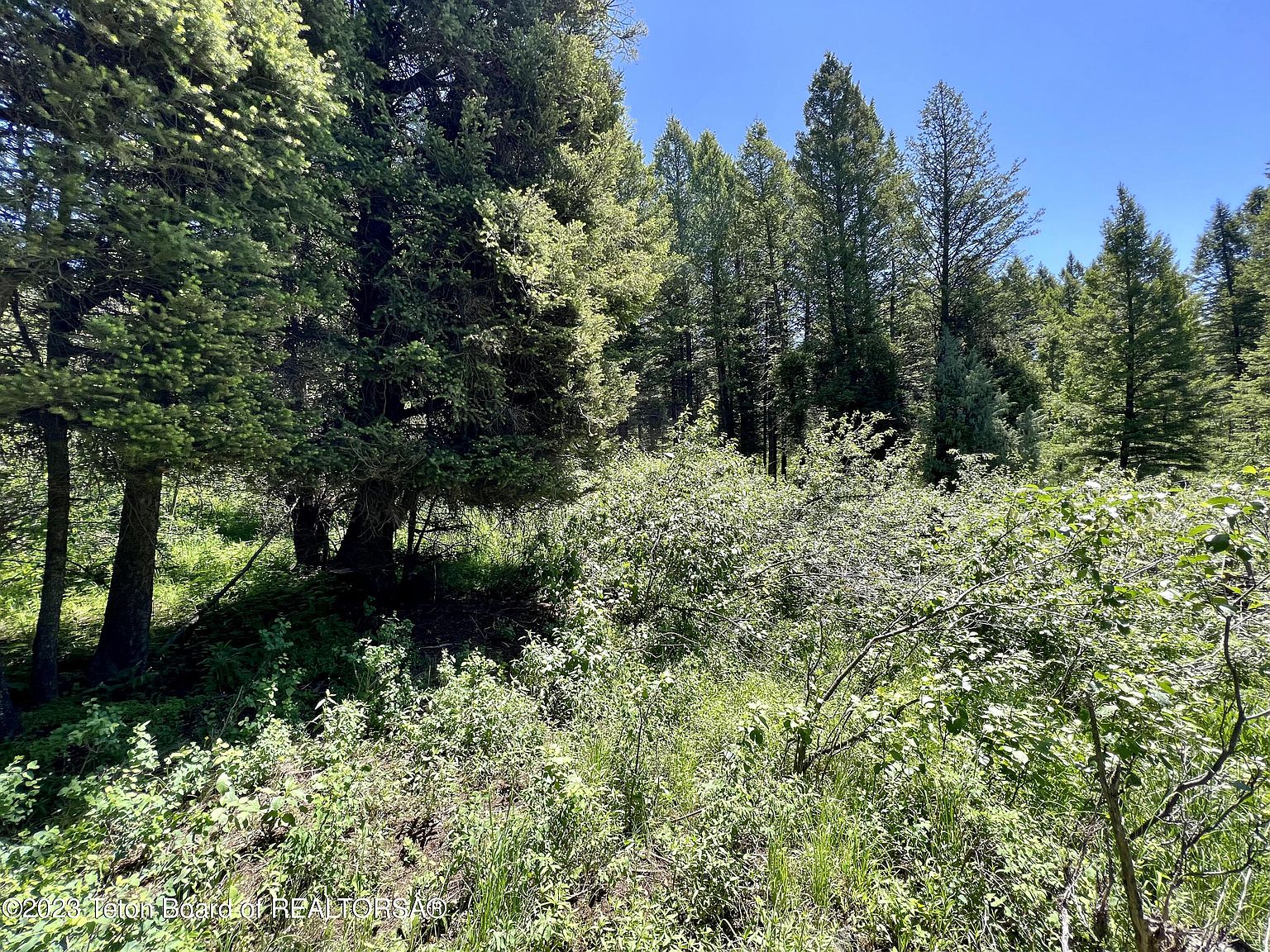 LOT 22 Cedar Dr, Star Valley Ranch, WY 83127 MLS 2370 Zillow