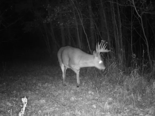 109th Ave, Sebeka, MN 56477