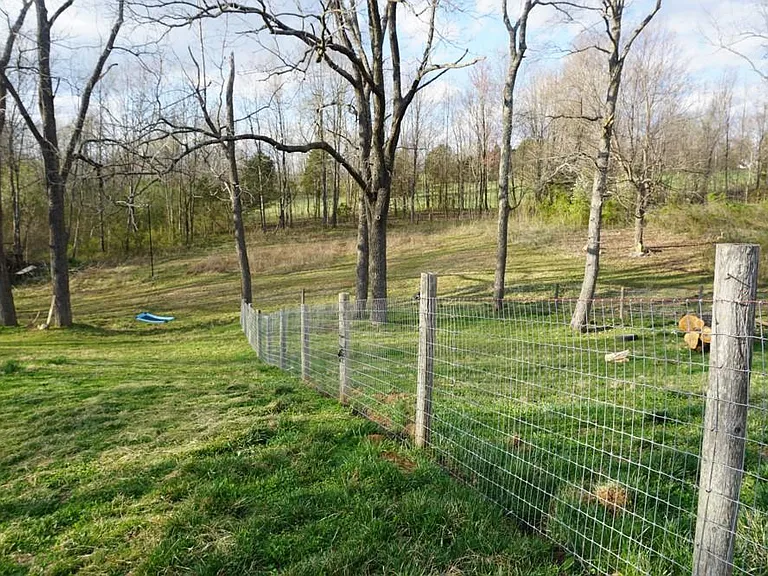 Fenced dog run.