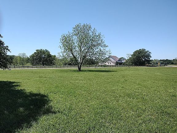 Pecan Tree on Southwest Side