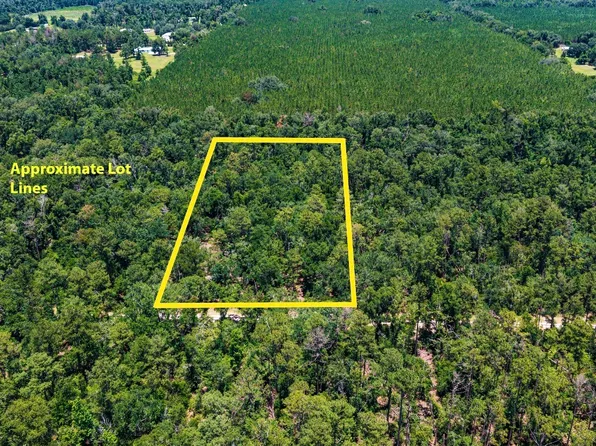 0 186th Trl, Live Oak, FL 32060