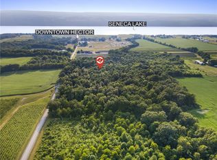 0 Tichenor Rd, Hector, NY 14841