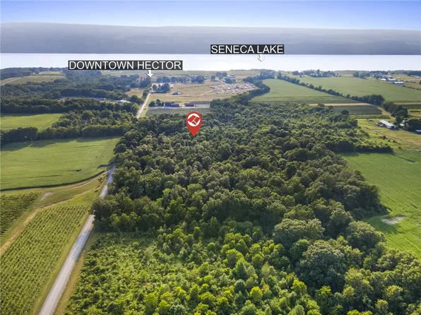 0 Tichenor Rd, Hector, NY 14841