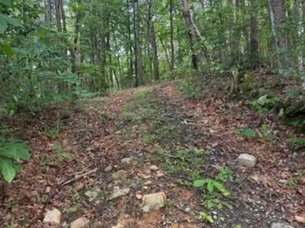 Paramount Pl, Ellijay, GA 30536