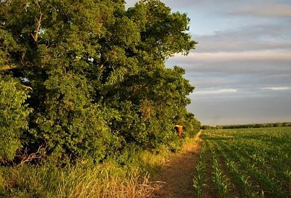 5th image of 3856 County Road 412