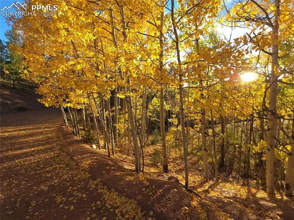 899 Little Topsey Dr, Cripple Creek, CO 80813