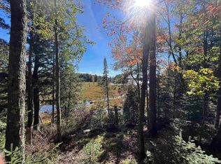 19501 Otter Ln, Watersmeet, MI 49969