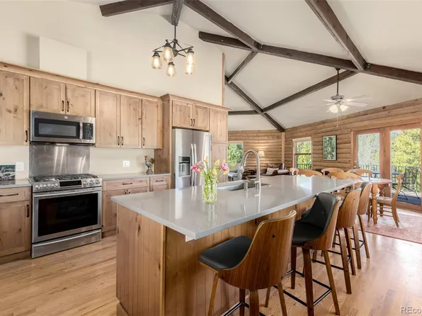 260 Pine Drive, Idaho Springs, CO 80452