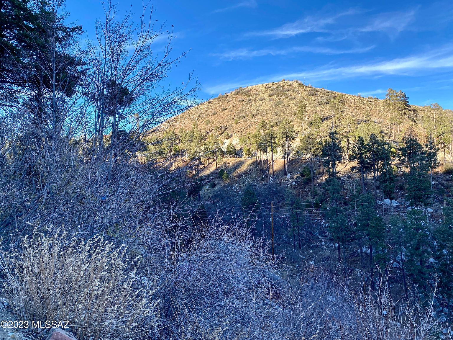 12955 N Phoenix Ave 1, Mount Lemmon, AZ 85619 MLS 22326968 Zillow