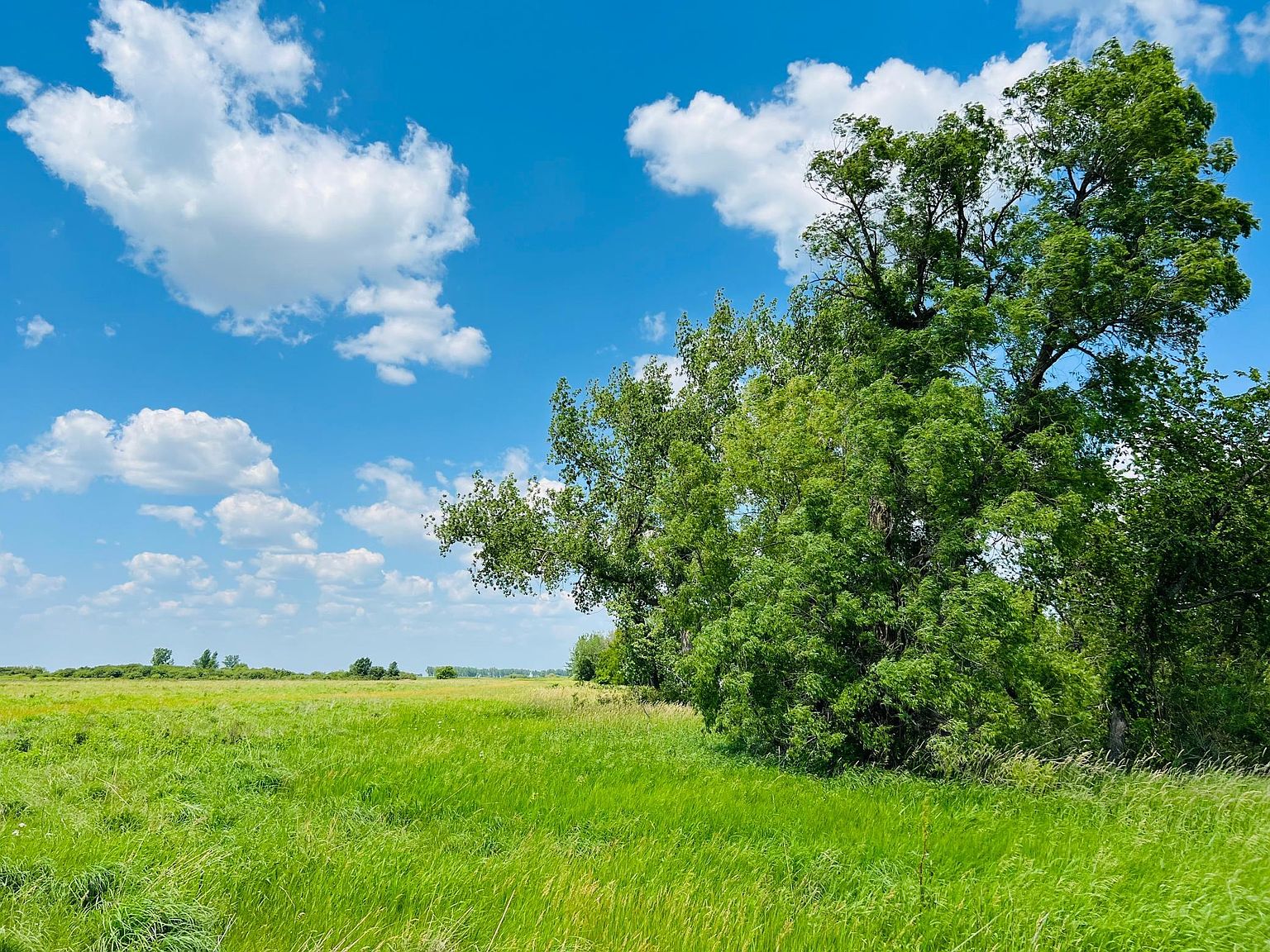 43 Avenue, Glyndon, MN 56547 MLS 6233201 Zillow