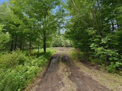Lot 29 Dane Road, Center Harbor, NH, 03226
