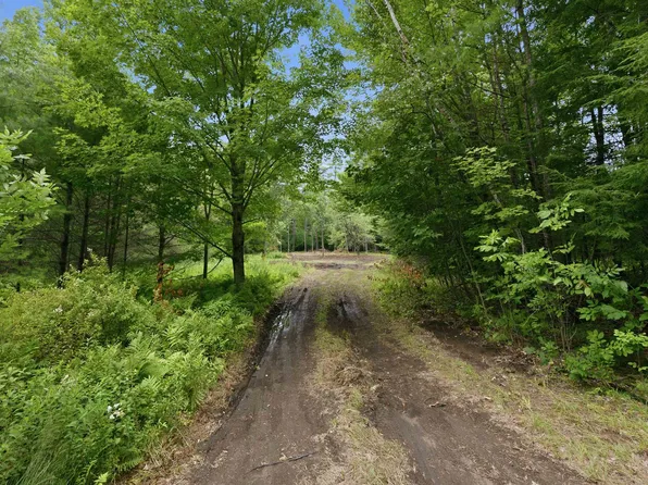 Lot 29 Dane Road, Center Harbor, NH 03226