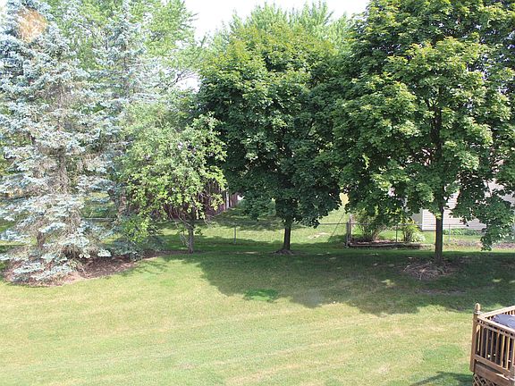 Backyard view