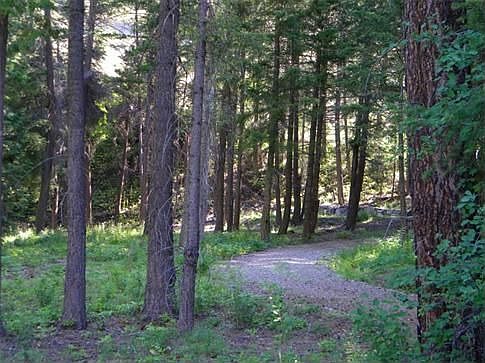 Meandering gravel driveway leads to level building site.