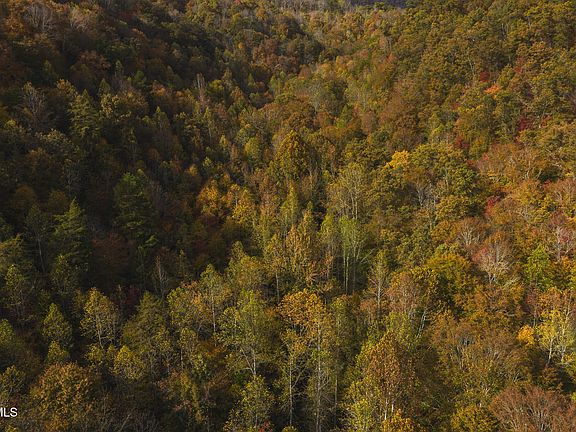 2nd image of Lynn Flanary Rd