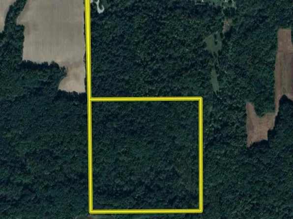 0 County Rd, Toledo, IL 62468