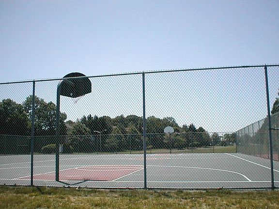 Basketball Court