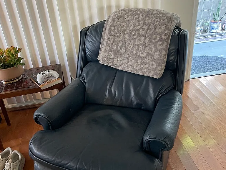recliner chair