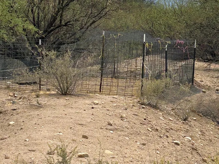 1805 N Desert Tortoise Rd — Photo 12