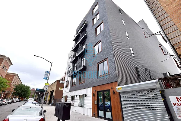 Rented by null | media 54