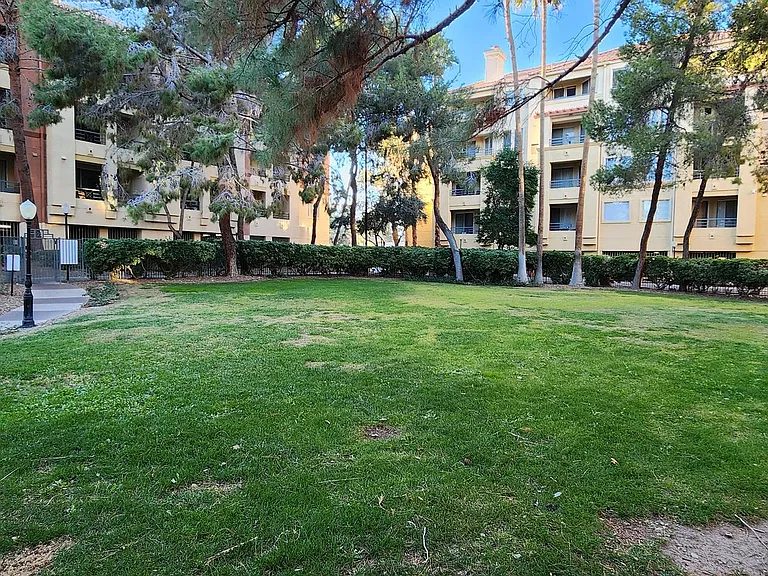 210 E Flamingo Rd #326 — Photo 50