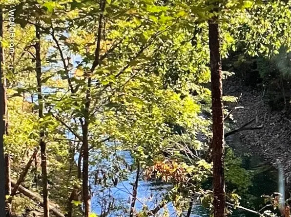 LOT 4 Clear Water Cvs, Crane Hill, AL 35053